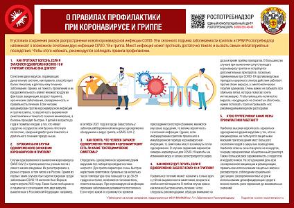 Правила профилактики при коронавирусе и гриппе